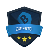 Experto